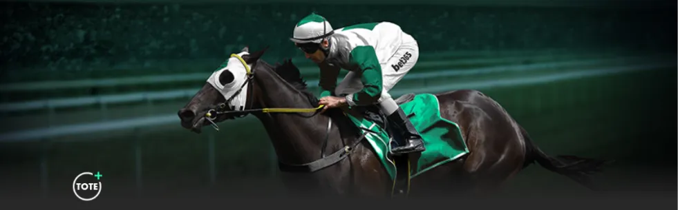 库里,板助勇士,分逆转胜公,UED体育官网,ued,SPORTS,UED体育中国官网,ued体育平台,UED体育服务